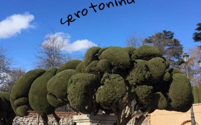 Serotonina, depresión y deporte
