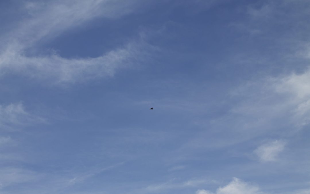 Miedo a volar en avión